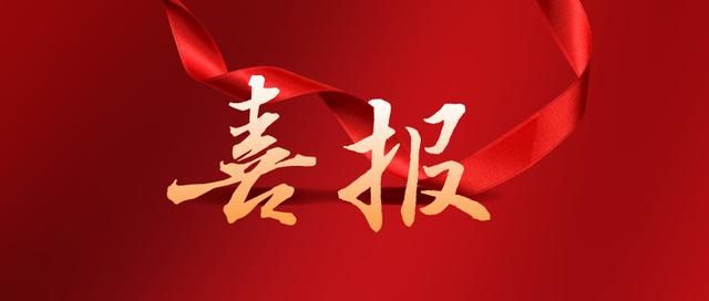 热烈祝贺半岛·官网(中国)登录入口通过任城区青年见习基地评估认定！